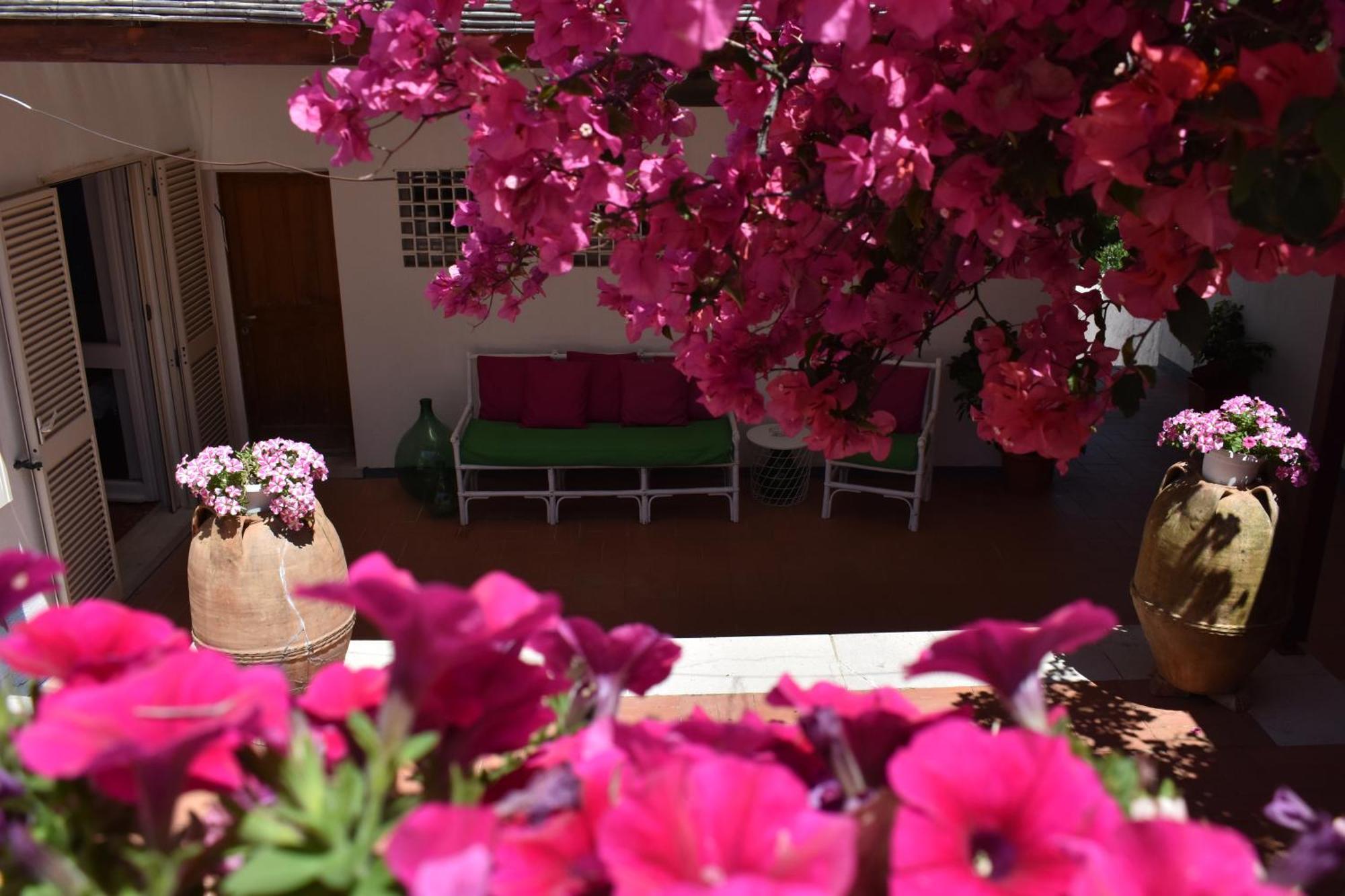 B&B Casabianca Палинуро Екстериор снимка