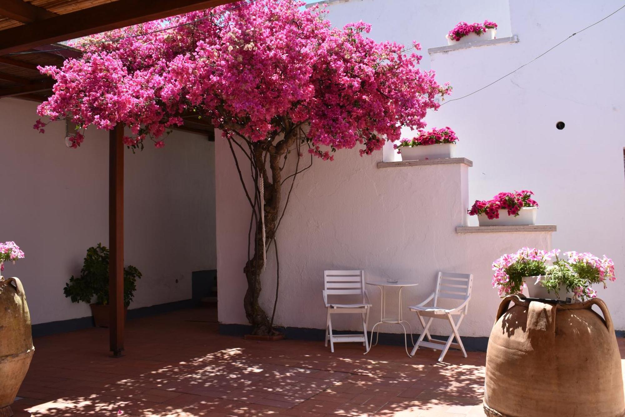 B&B Casabianca Палинуро Екстериор снимка